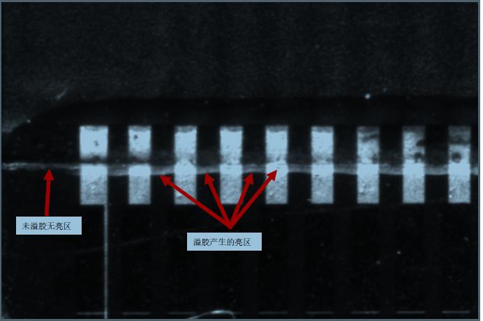 1629167628962455.jpg