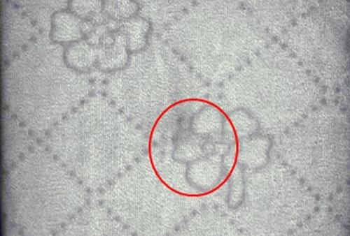 1634782164240992.jpg